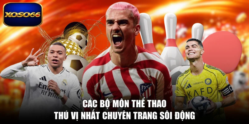 Các bộ môn thể thao thú vị nhất chuyên trang sôi động