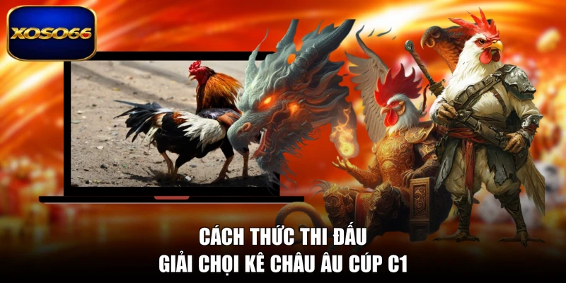 Cách thức thi đấu giải chọi kê châu Âu Cúp C1