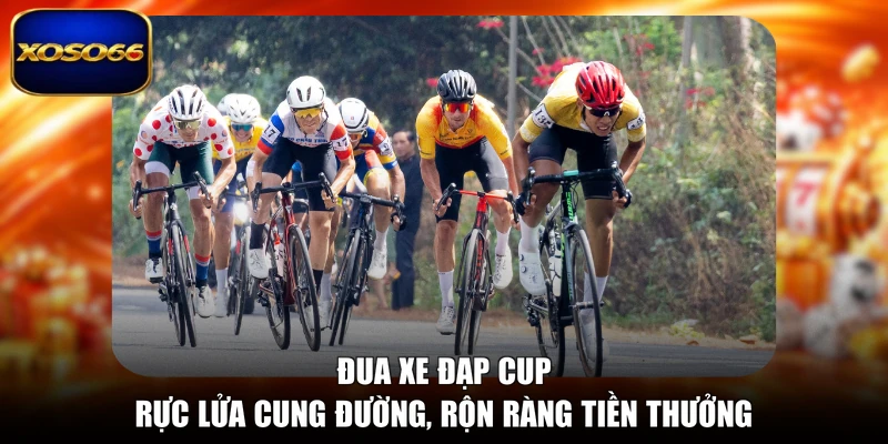 Đua Xe Đạp Cup - Rực Lửa Cung Đường, Rộn Ràng Tiền Thưởng