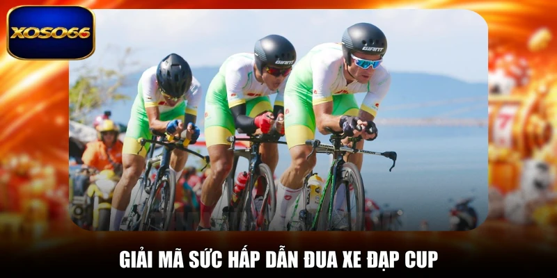 Giải mã sức hấp dẫn đua xe đạp cup
