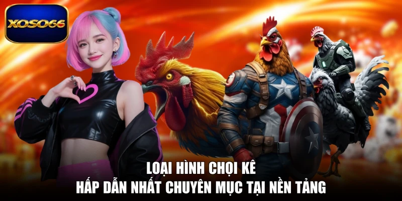 Loại hình chọi kê hấp dẫn nhất chuyên mục tại nền tảng