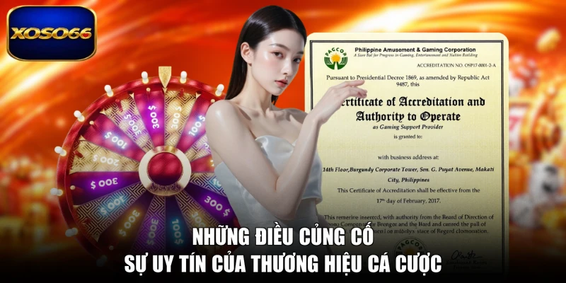 Những điều củng cố sự uy tín của thương hiệu cá cược