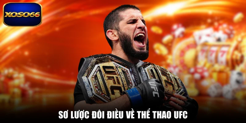 Sơ lược đôi điều về thể thao UFC