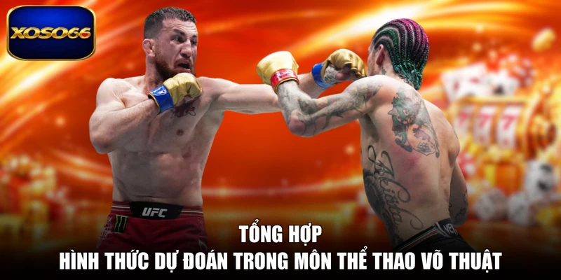 Tổng hợp hình thức dự đoán trong môn thể thao võ thuật